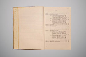 Página interna de dissertação com o sumário datilografado, listando sete capítulos. Os títulos incluem introdução, revisão bibliográfica, proposição, materiais e métodos, resultados e discussão, conclusões e referências. O texto está alinhado à esquerda com os números das páginas à direita.